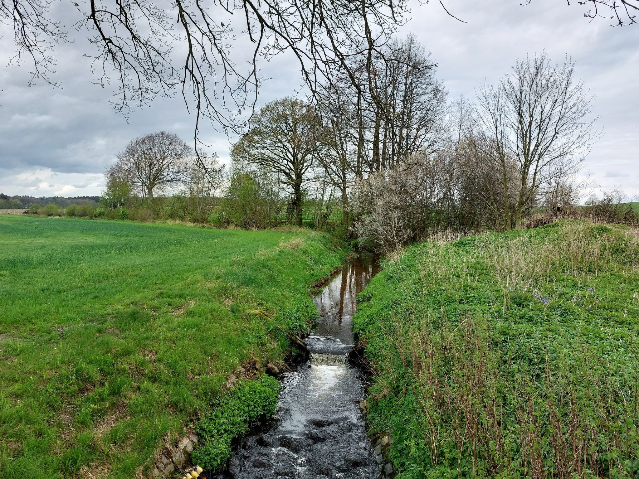 Die Wegebek, Zufluss der Stör