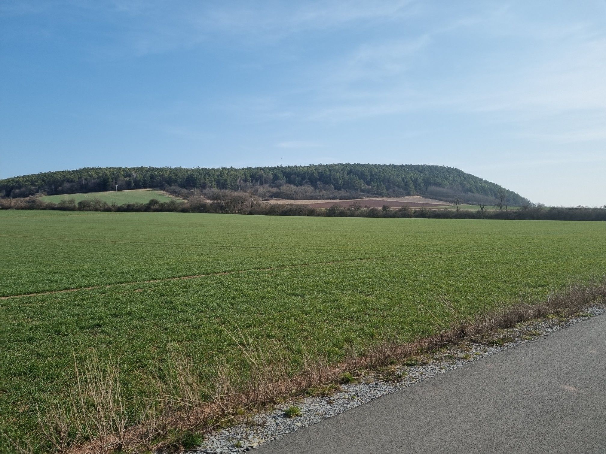 Höhberg