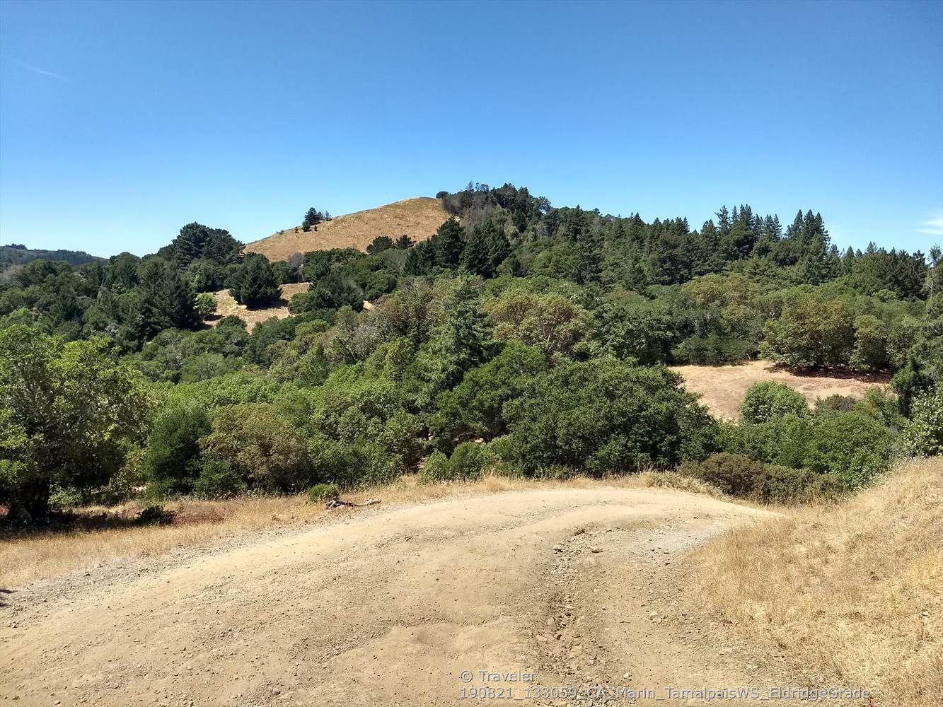 A dirt road winds through sunny, green and dry wooded hills. - Mount Tamalpais East & Middle Peaks from Lake Lagunitas loop