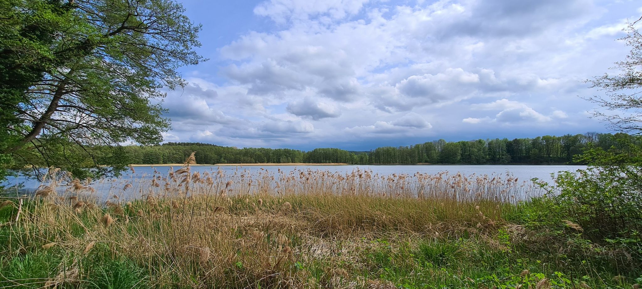 Schönlager See