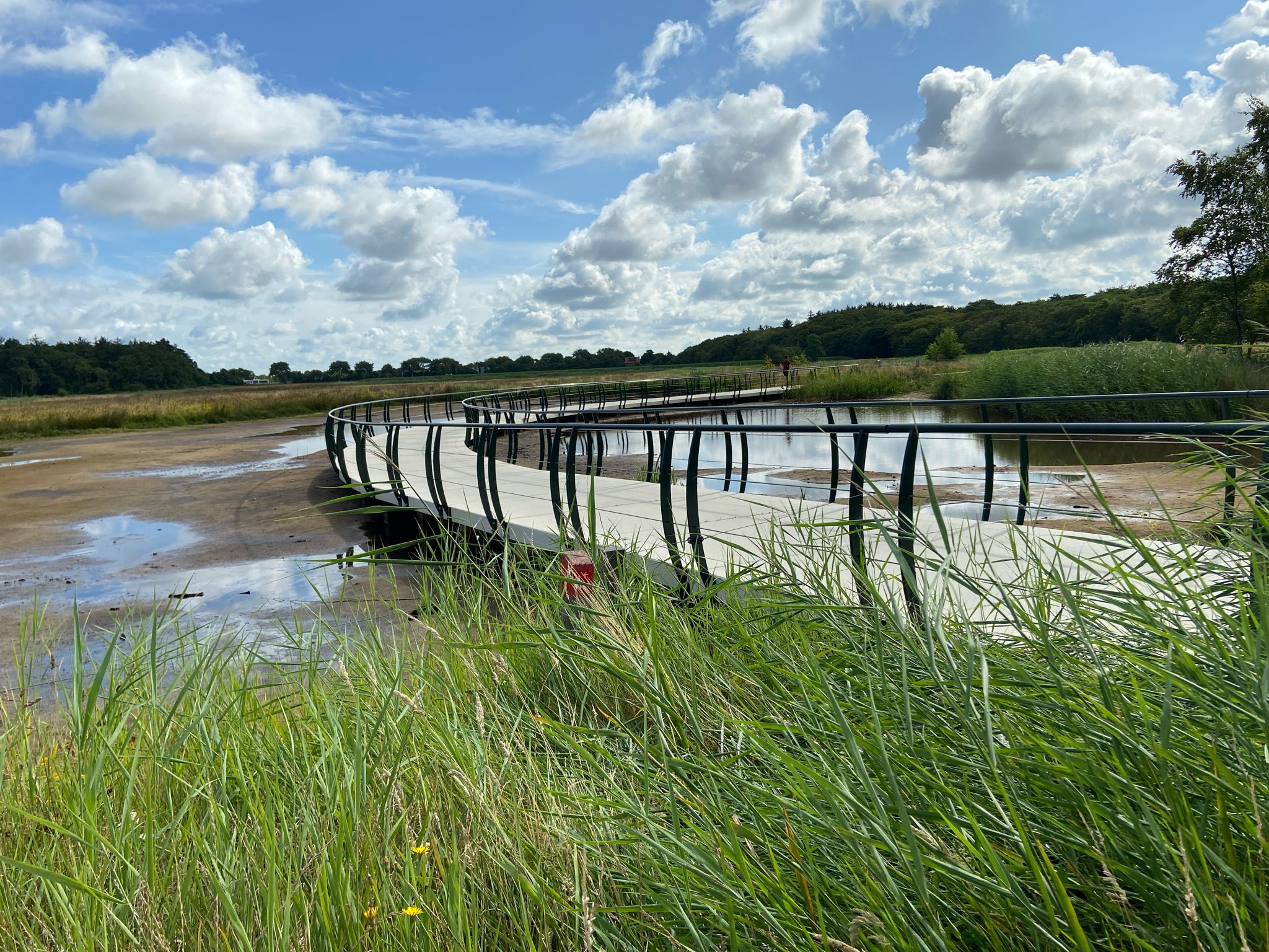 Tureluur  Fietsbrug