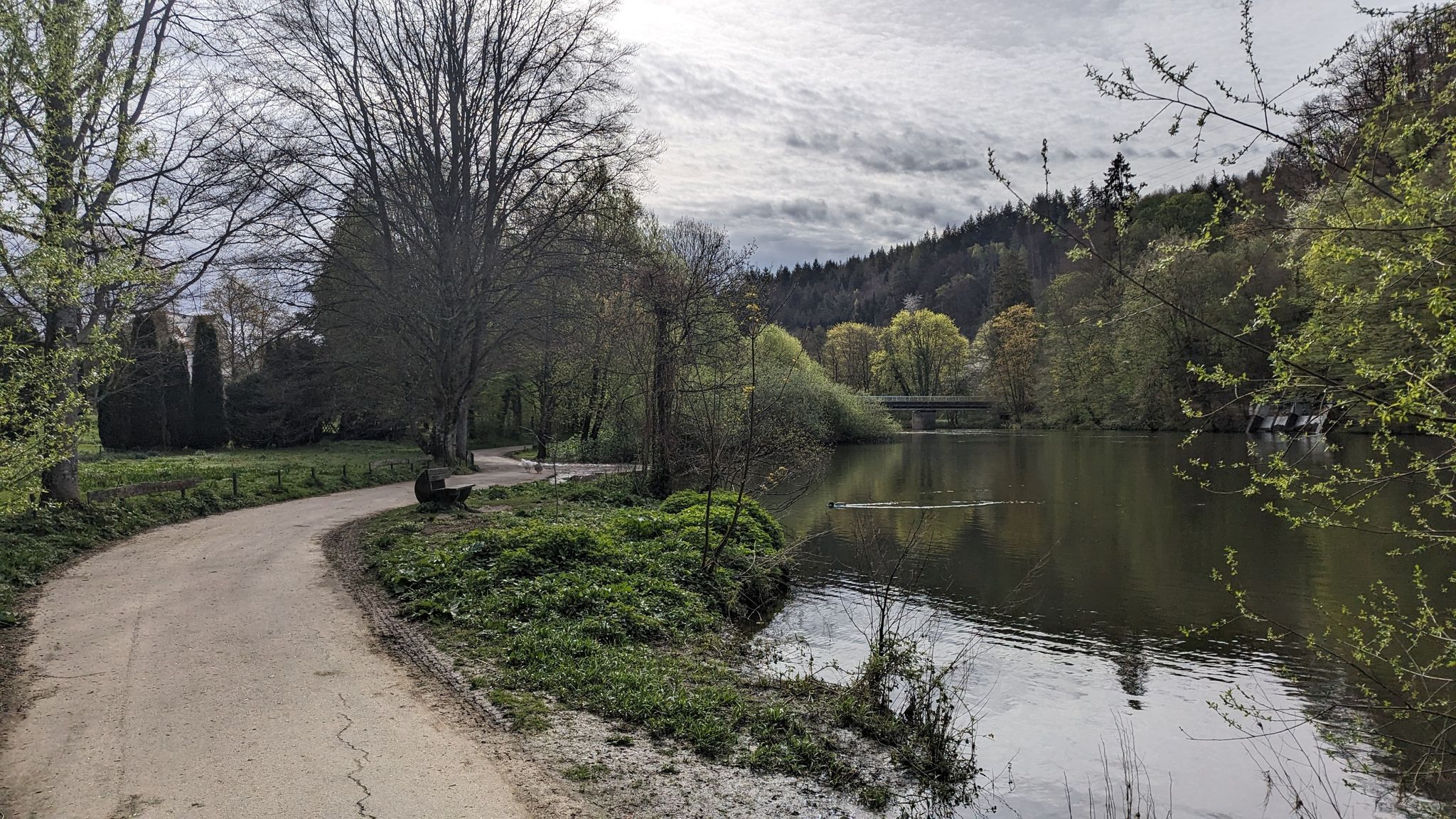 An der Sieg in Schladern