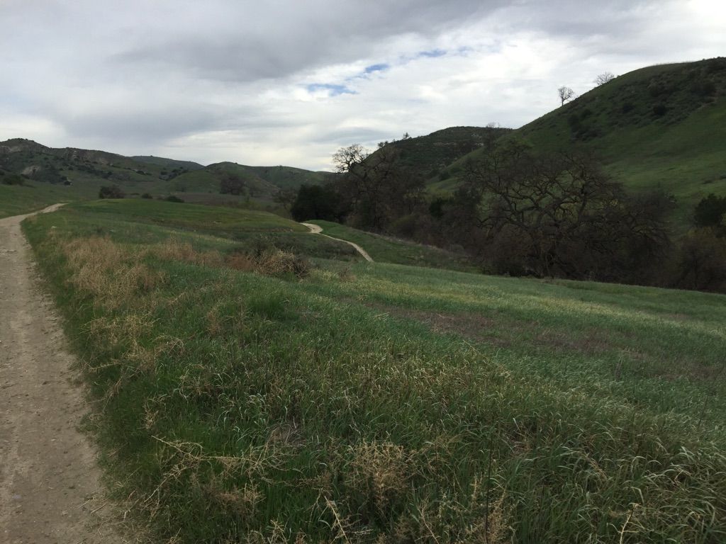 A dirt path curves alongside lush green hills under a cloudy sky. - Lower Las Virgenes Canyon Loop