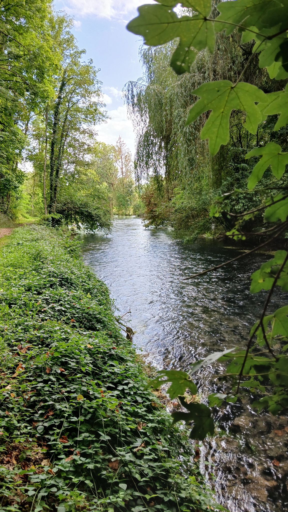 babbling brook