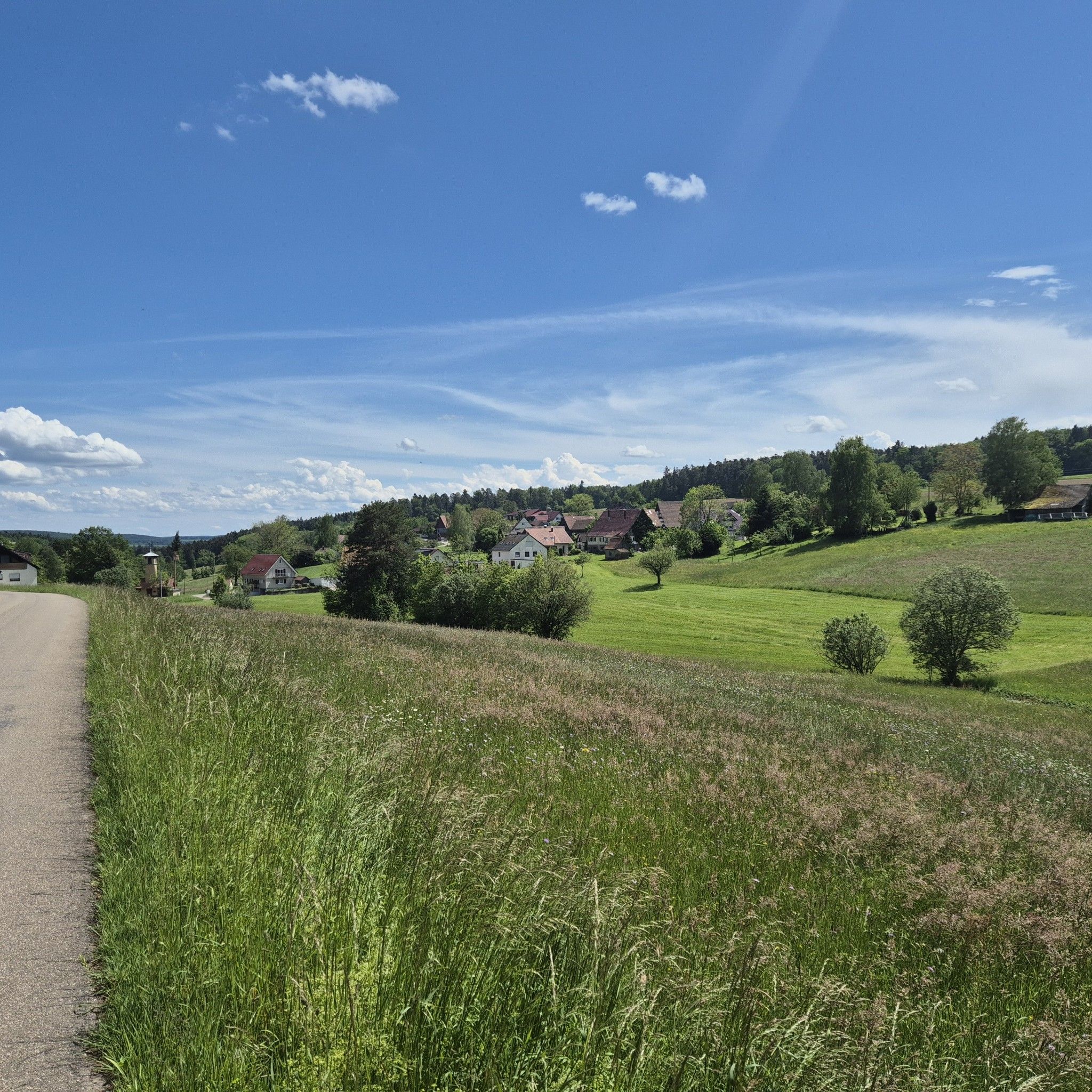 Blick Richtung Speßhardt