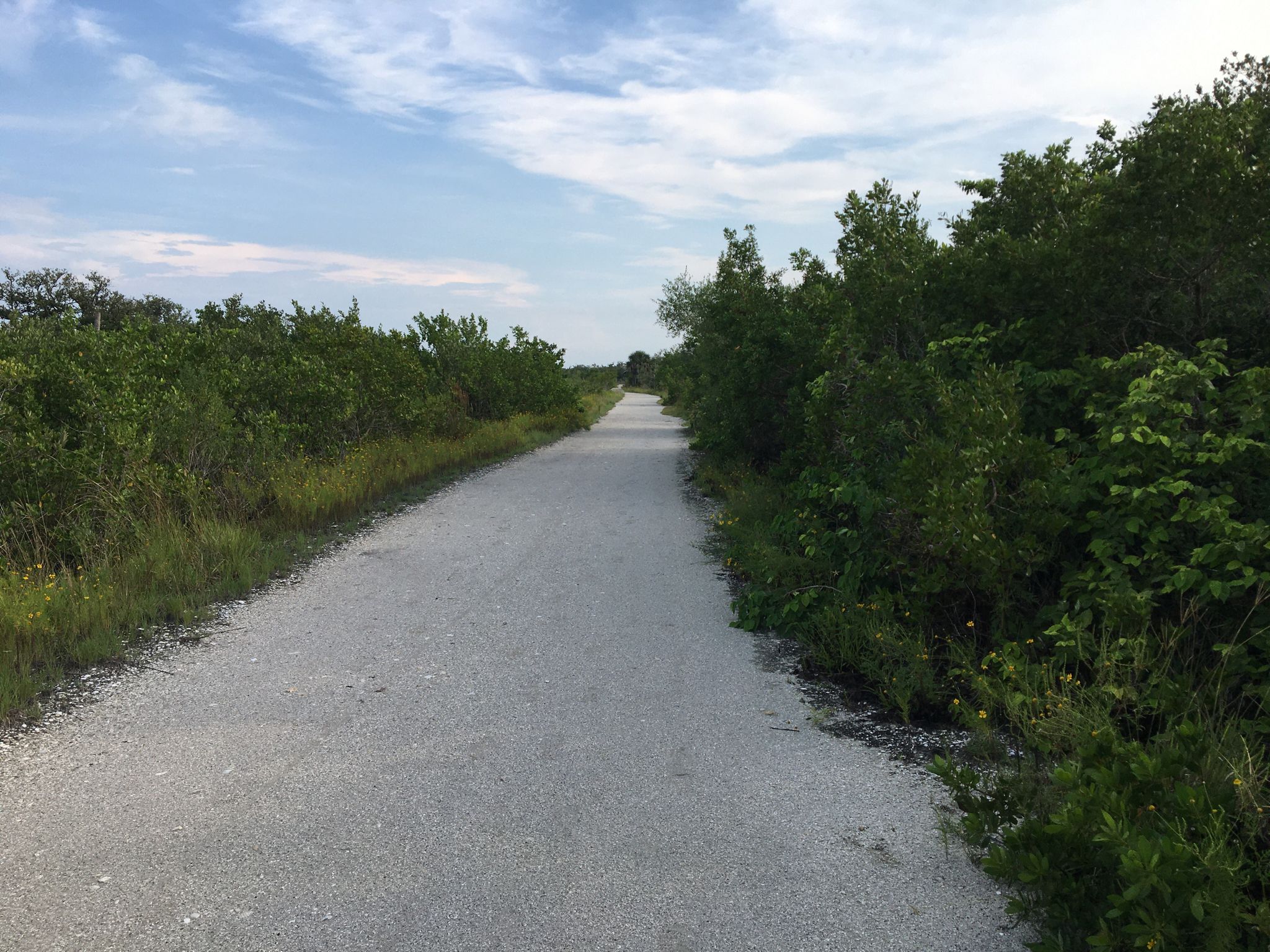 A wide, light-colored gravel path extends through dense green foliage. - Nice view – De Soto Monument loop from Perico Island