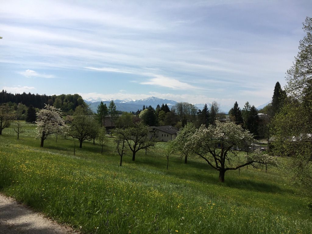 View of Rigi