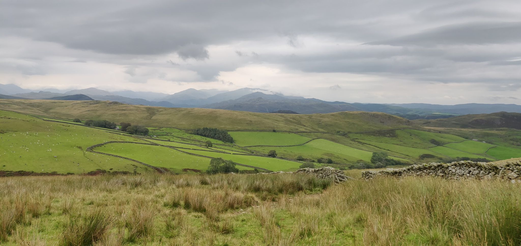Raven cragg