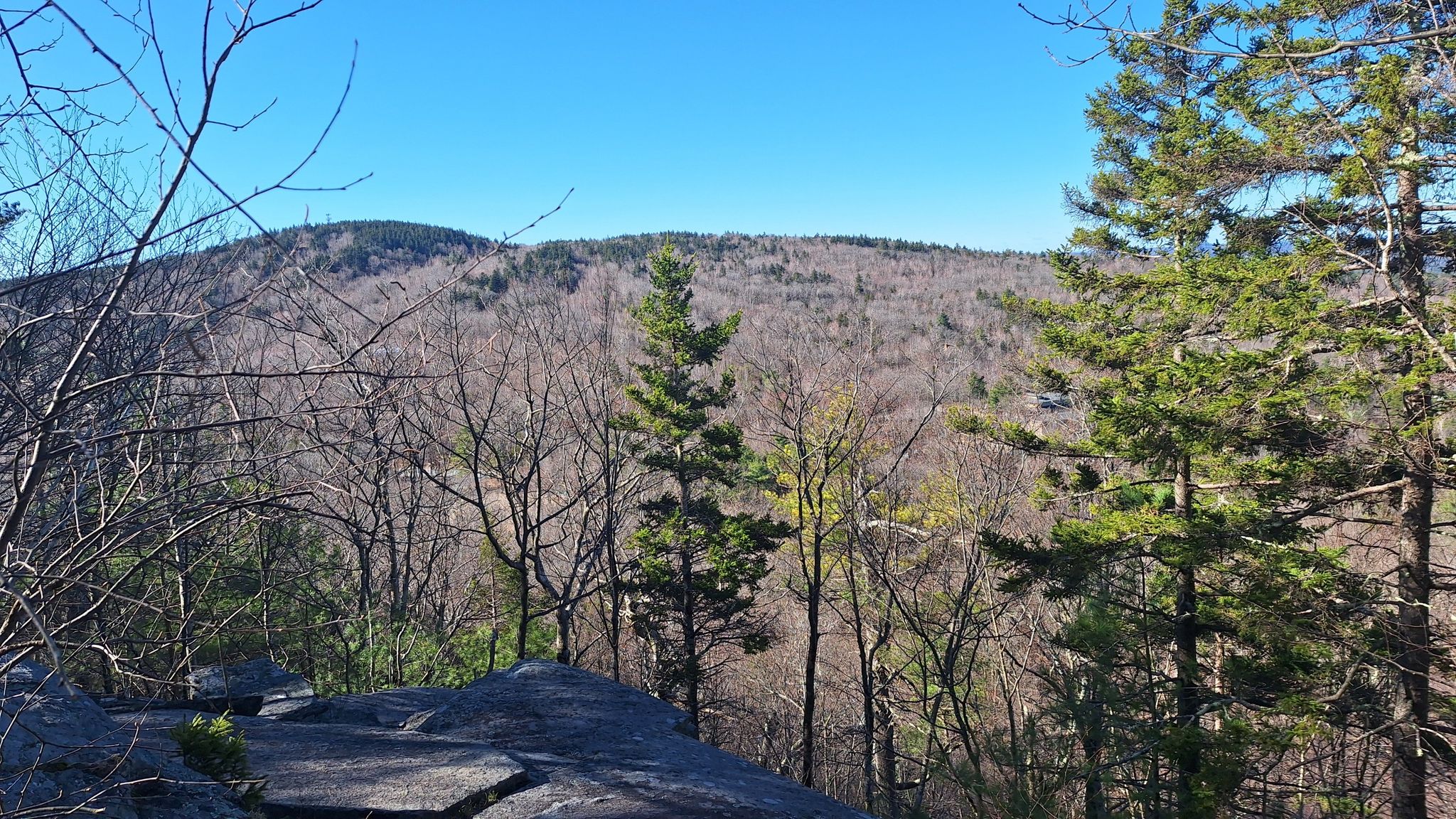 Rocky outcrop overlooks a forested hillside with bare and evergreen trees. - Wapack Trail to Pack Monadnock