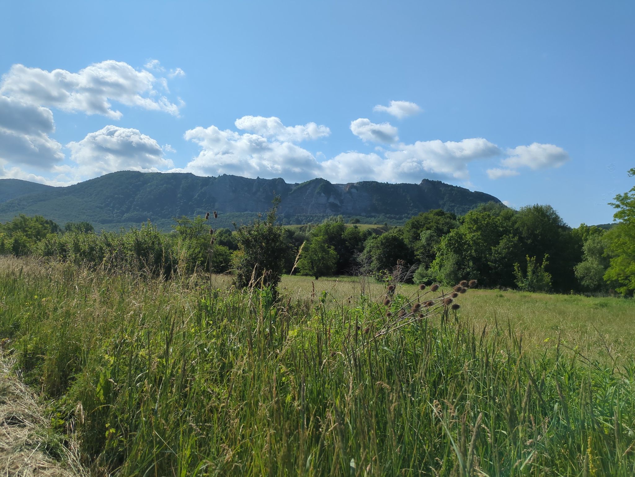 Blick auf die Berge