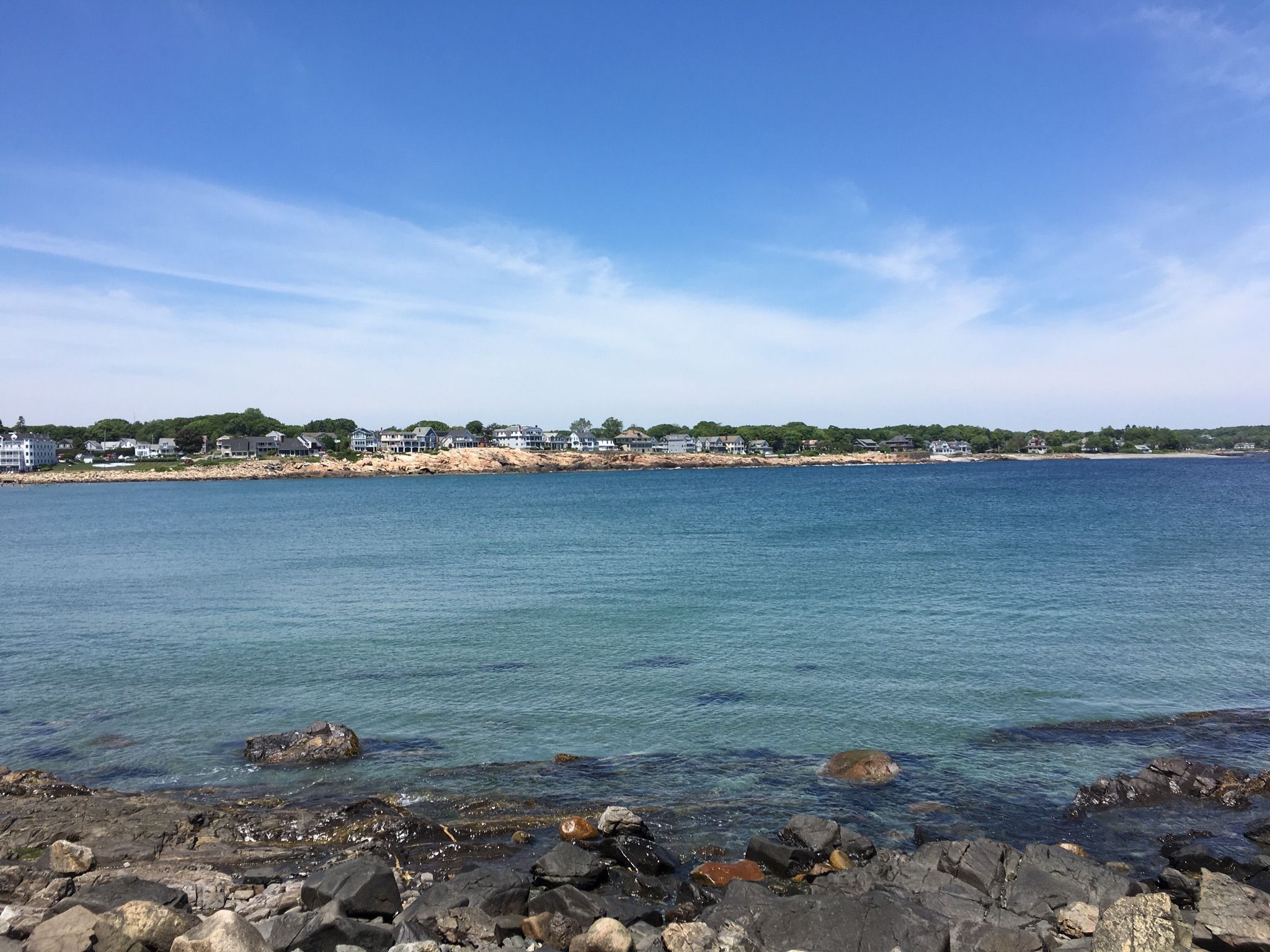 Calm blue ocean with a rocky foreground and distant houses under clear sky. - Ellis Park & Cape Neddick Lighthouse loop