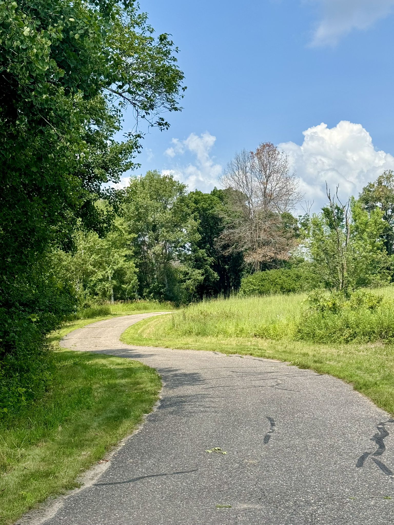 Winding paved path through green grass and trees under a bright sky. - Prairie, Poplar, and Wash Pond Flats Loop