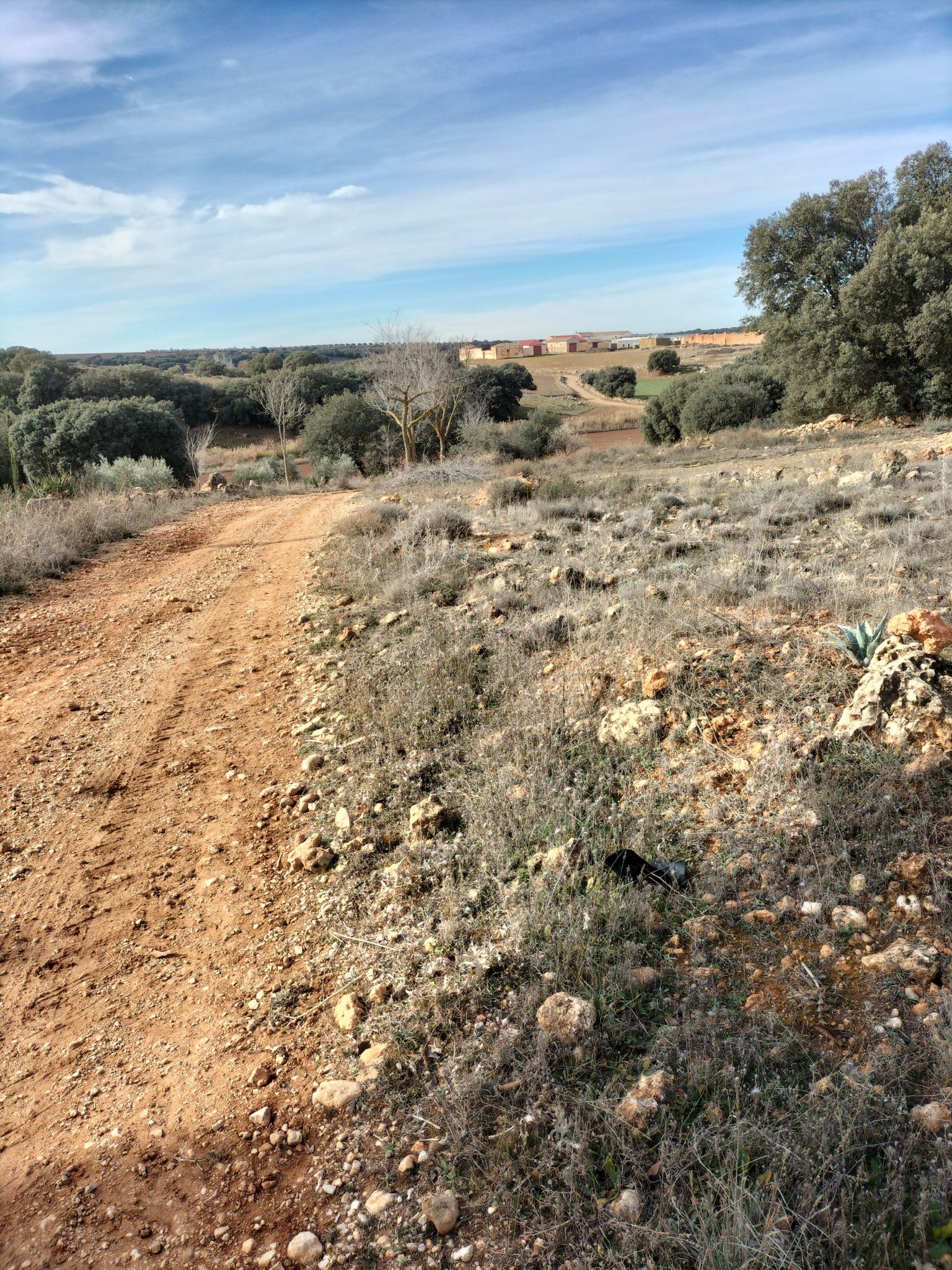 Cortijo los palacios