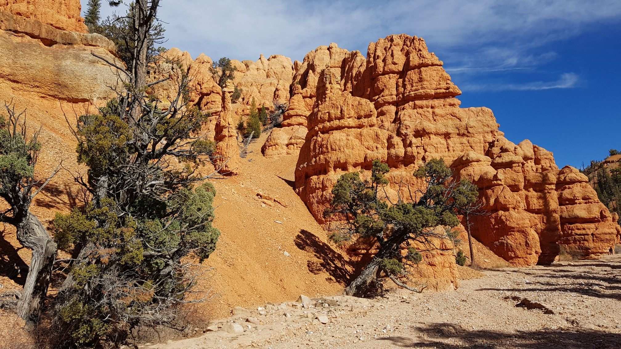 Towering red rock formations with green trees under a bright blue sky. - Casto Canyon Trailhead – The Monolith loop from Black Mountain
