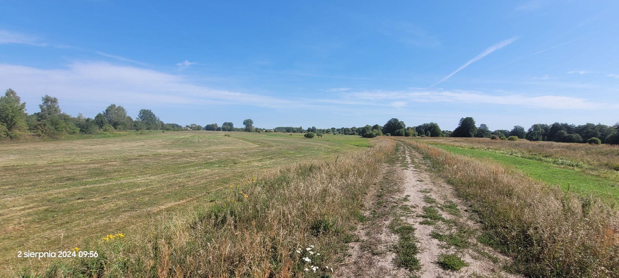 Trochę wertepów i piasku.