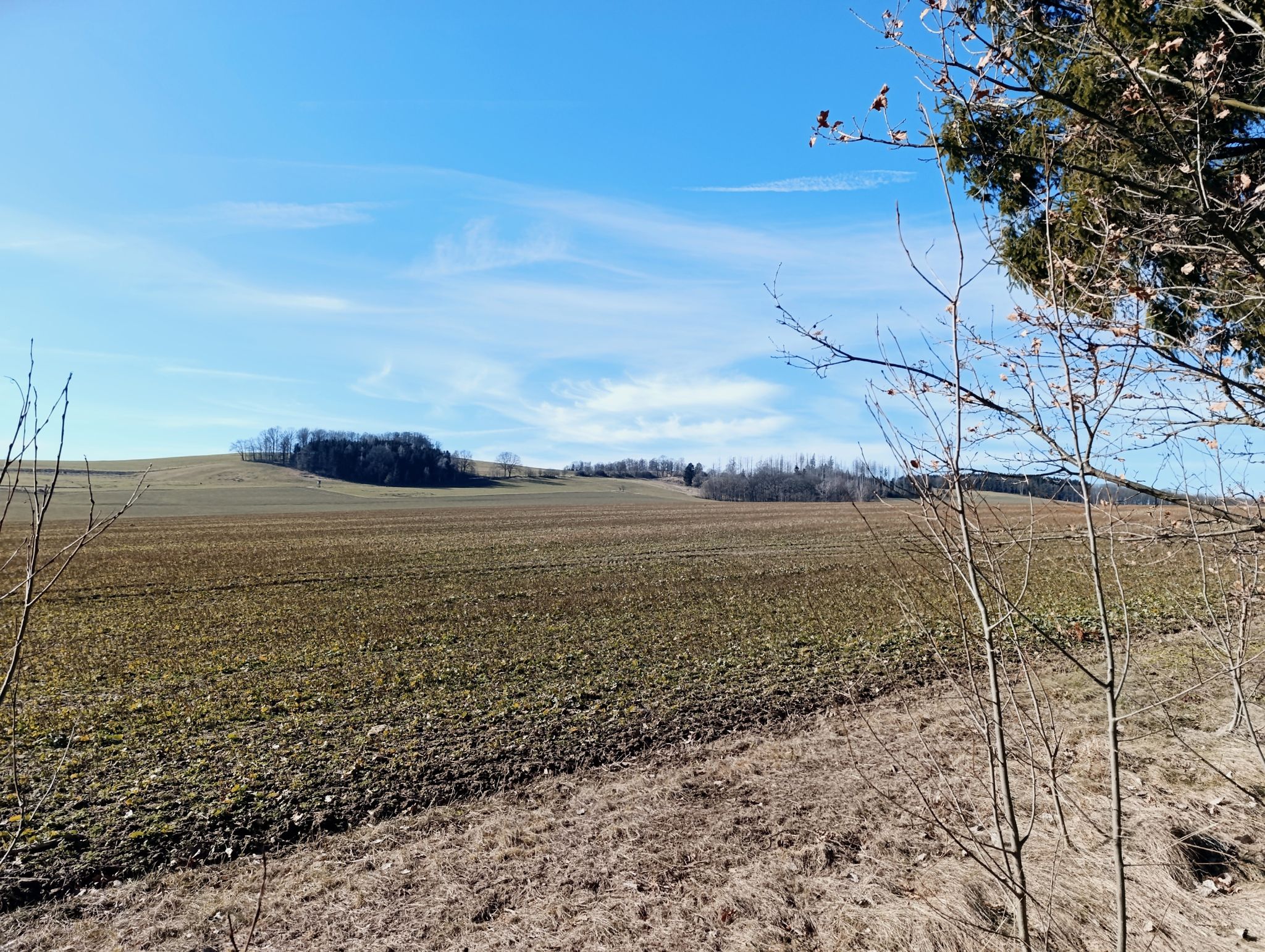 Blick auf den Seidelberg 