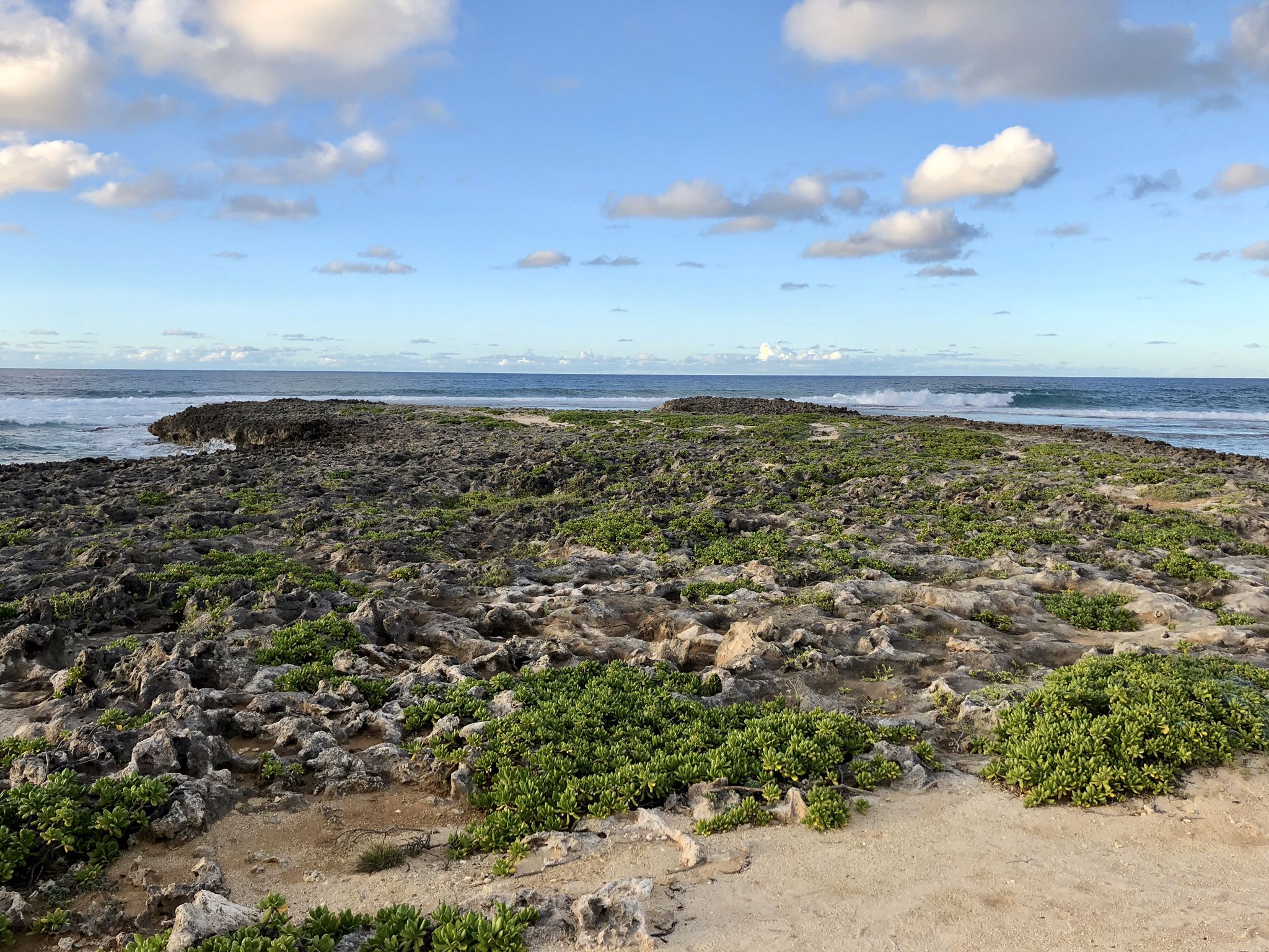 Rocky, green-covered terrain meeting the ocean under a partly cloudy sky. - Turtle Bay to Kahuku Point