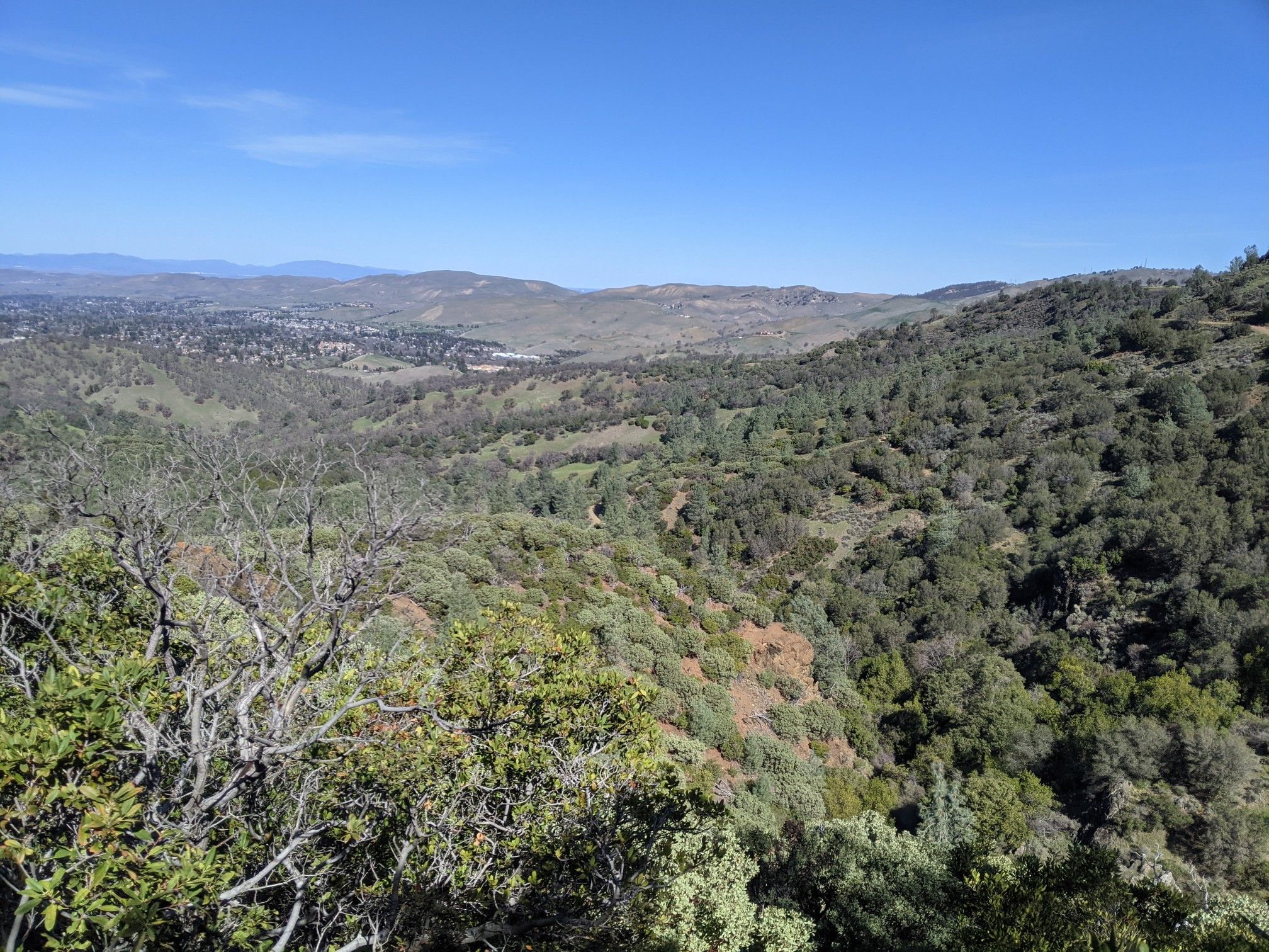 Lush green forested hills and valleys stretch into the distance under blue sky. - Mount Olympia and North Peak Loop