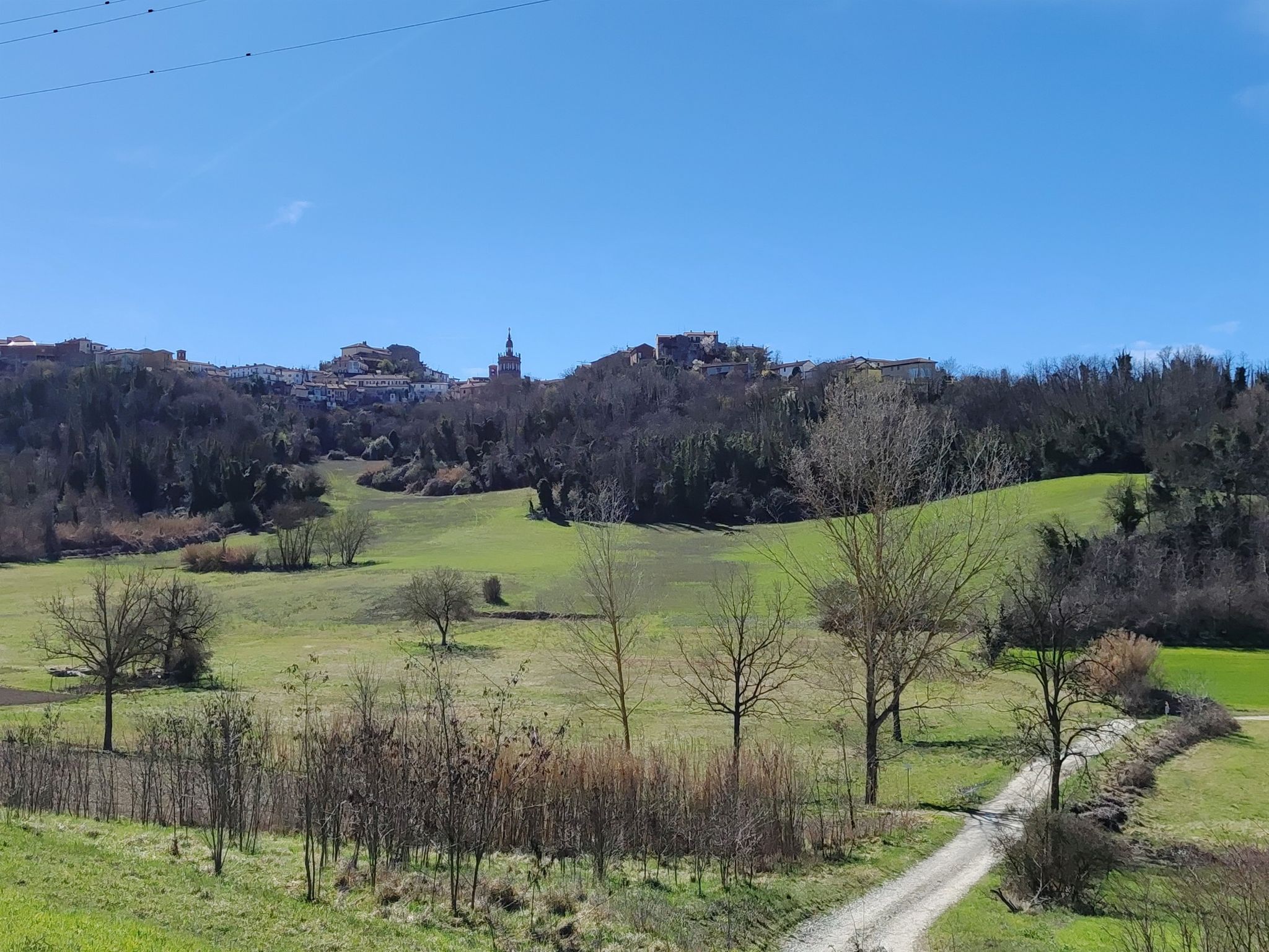 Panorama
