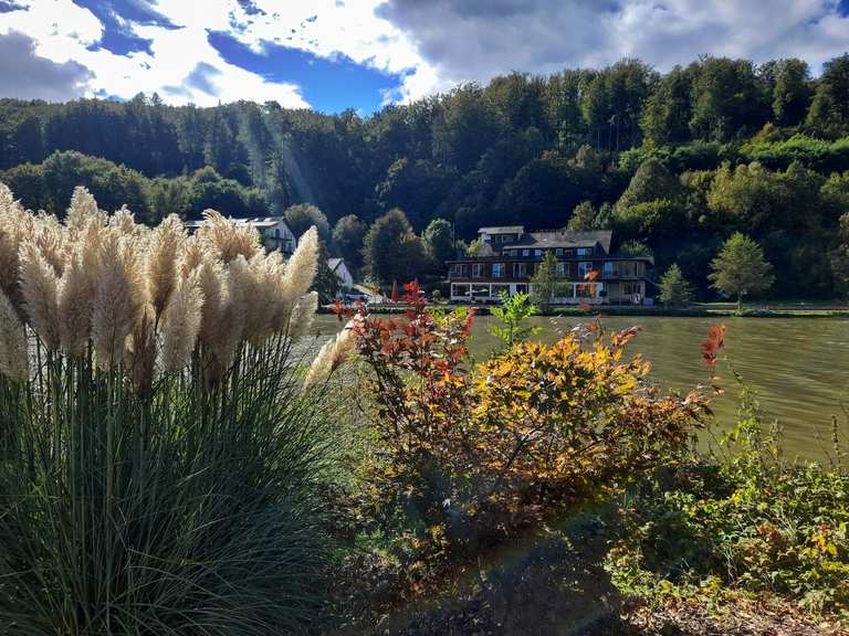 durchs Fuldatal über Staustufe Wahnhausen zurück 28.09.2024