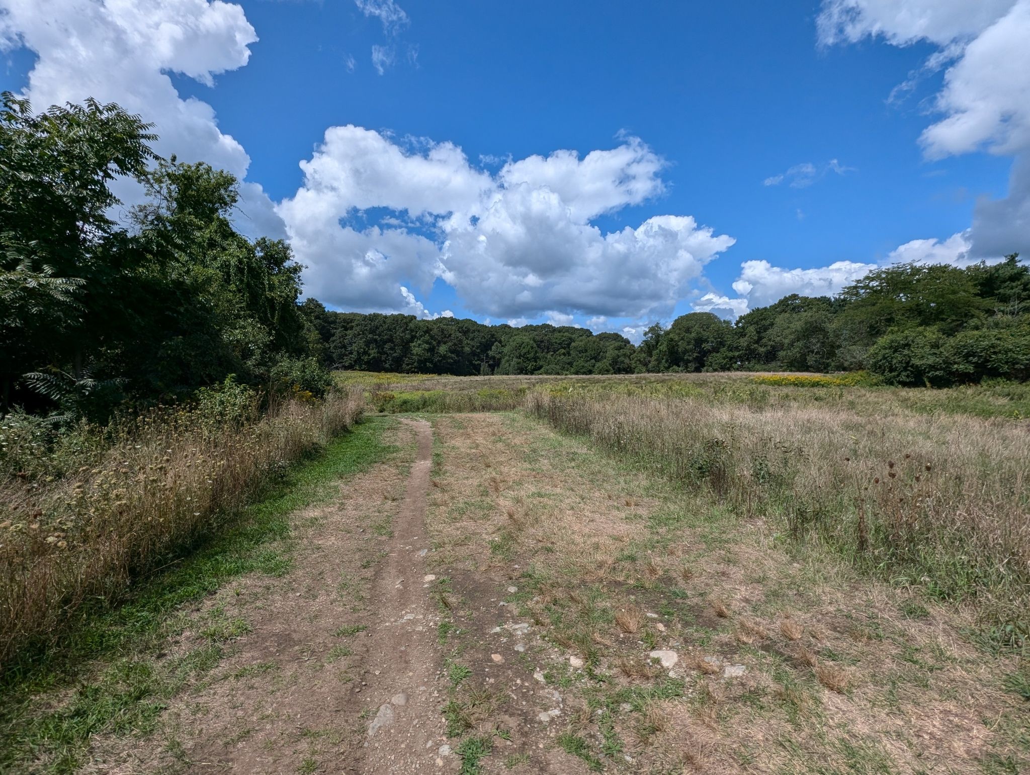Dirt path through a sunny field with trees under a blue sky. - Western Greenway Loop