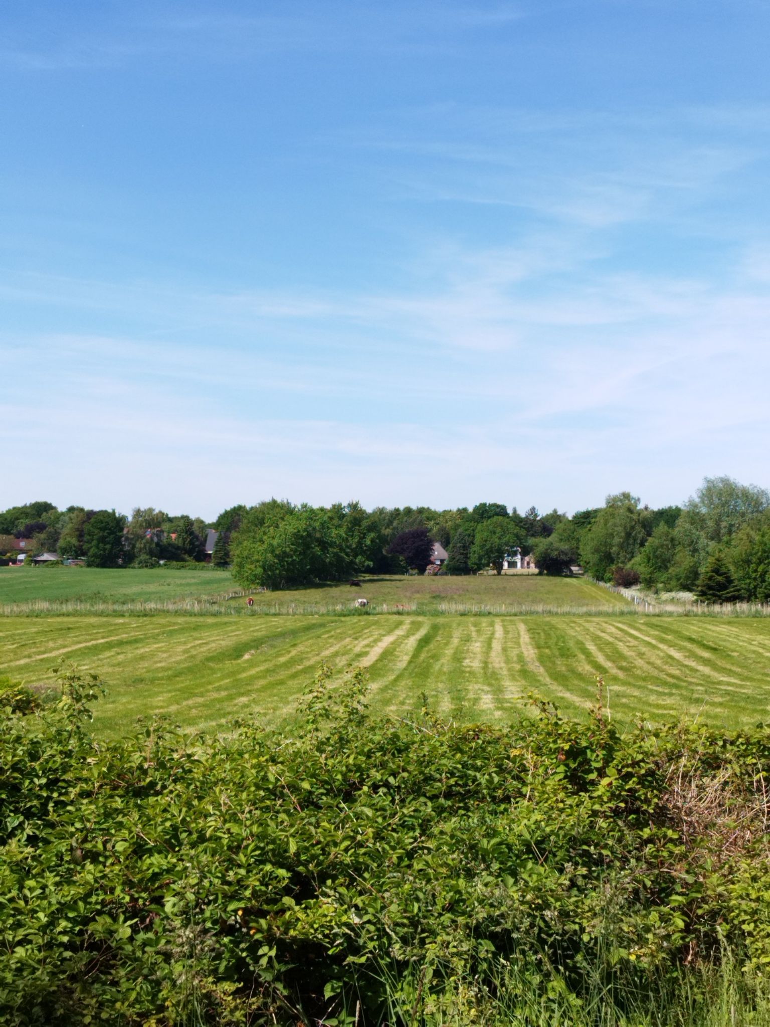Aussicht Brombeerweg