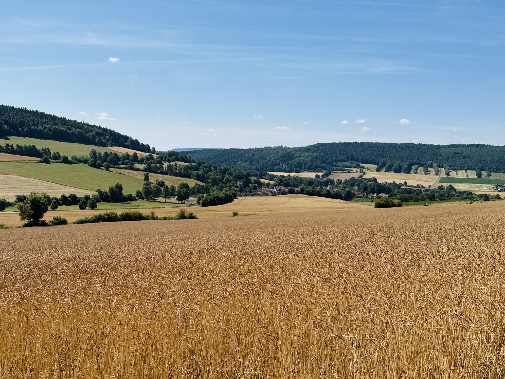 Auf der Wanderstrecke unterwegs…