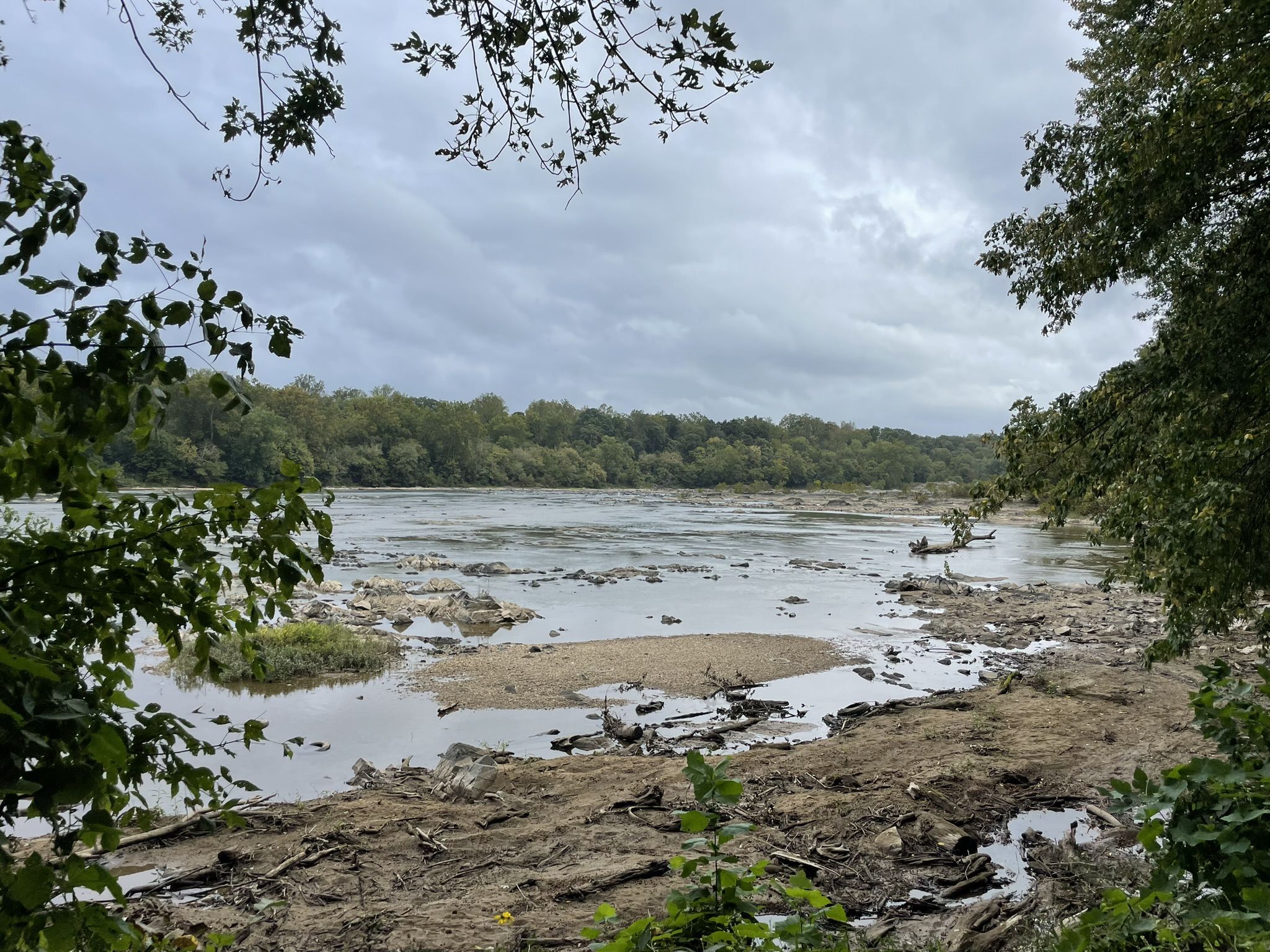 Wide river with muddy banks and debris under a cloudy sky. - Woodland and River Trail Loop