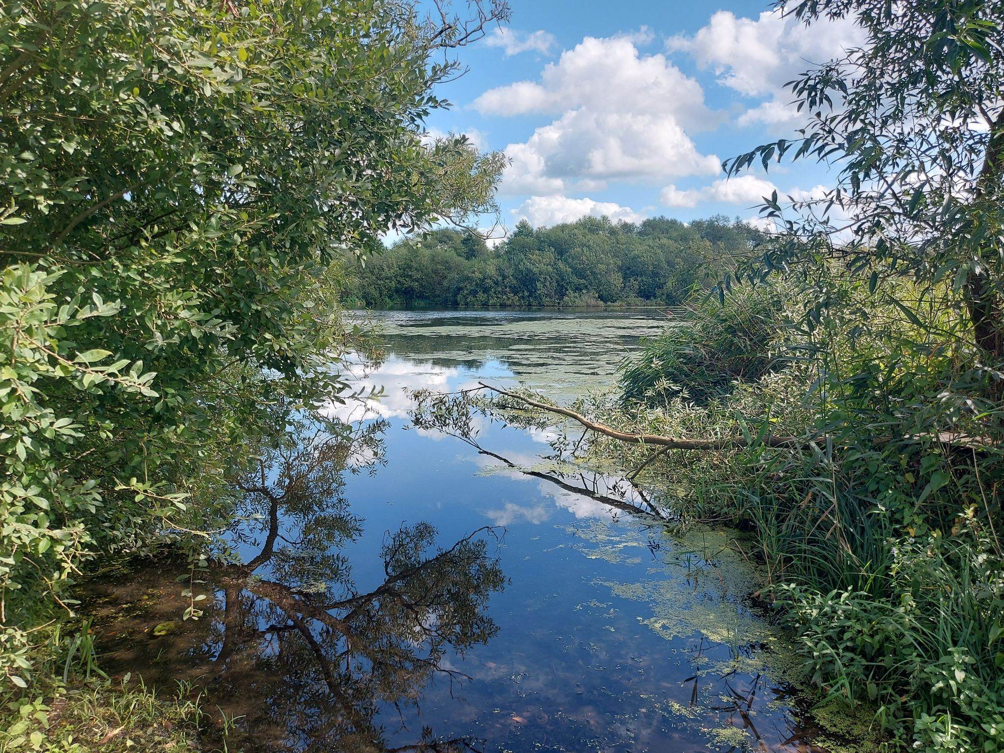 Schulensee