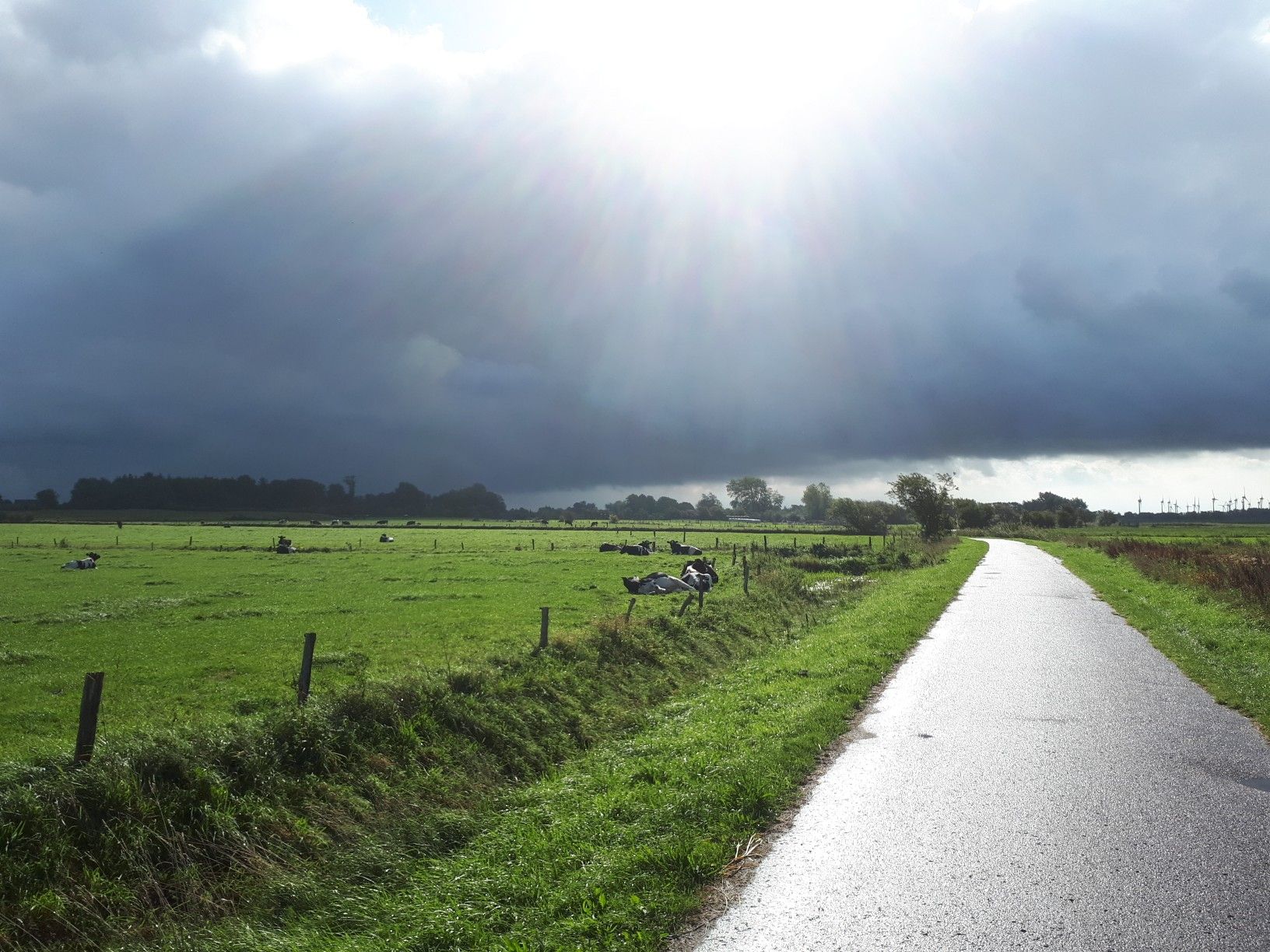 Regen?