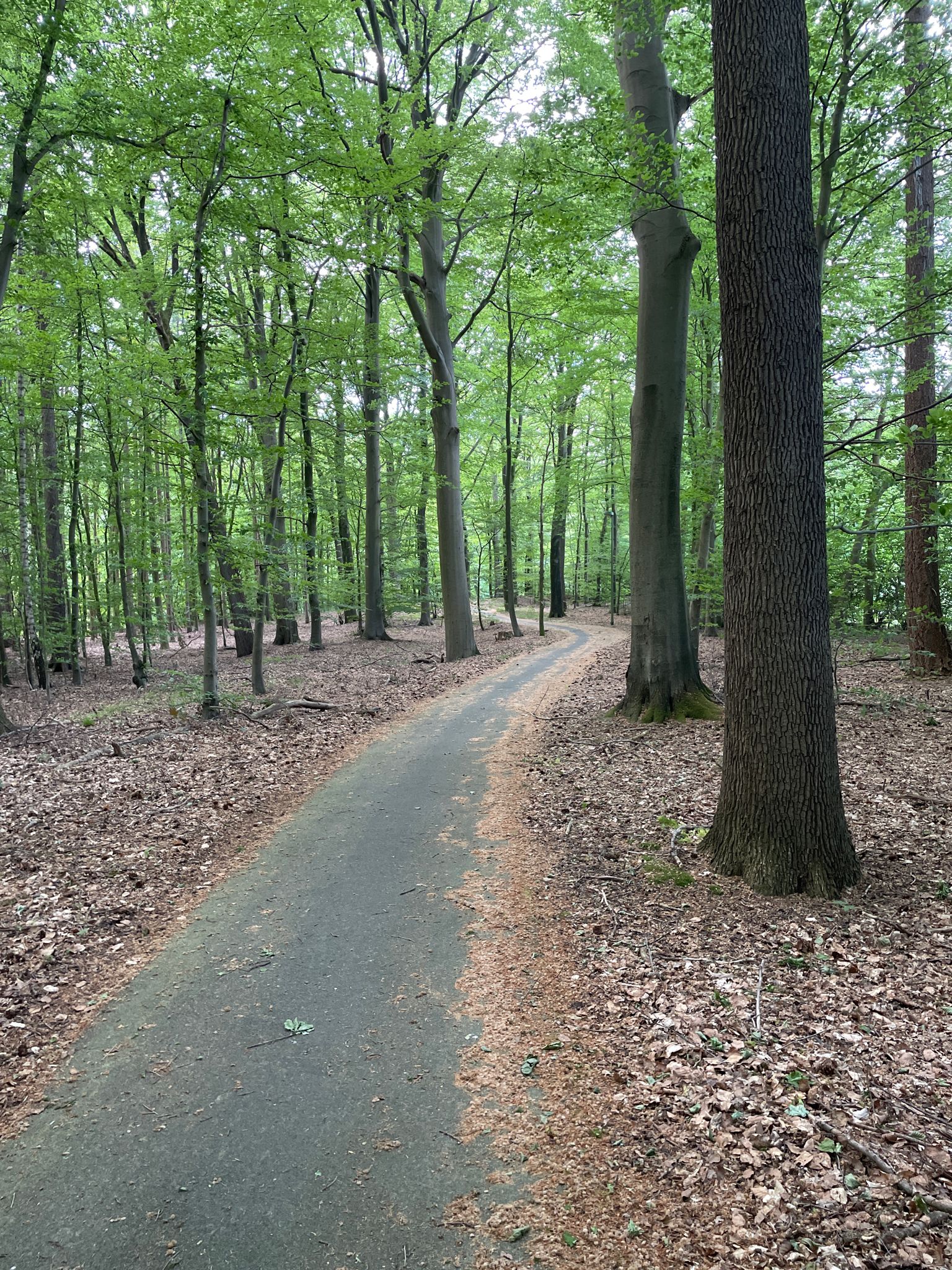 Fahrradweg Itzehoer Straße