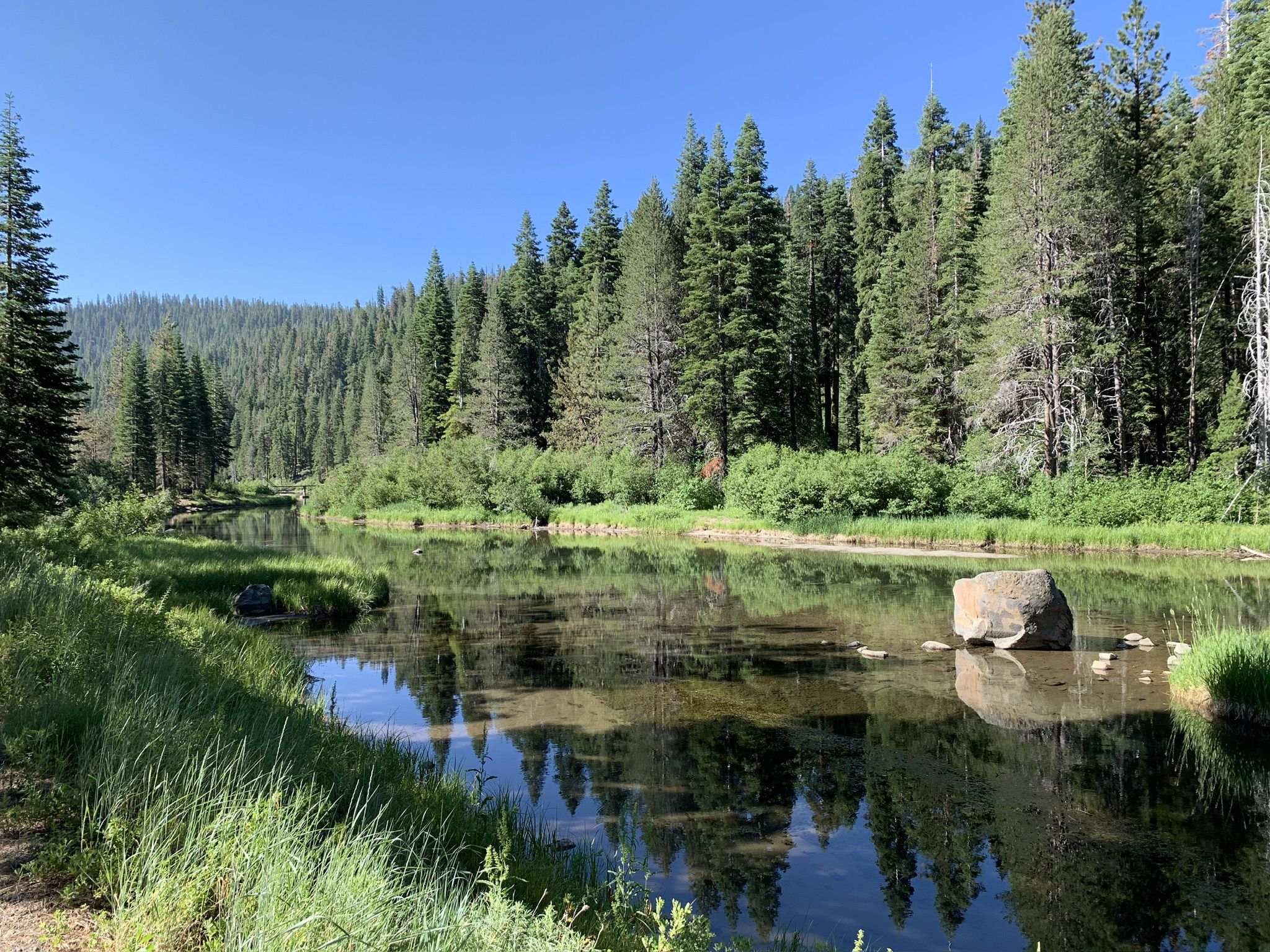 Calm river reflecting tall pine trees and a clear blue sky. - Truckee River Trail – Truckee River Trail loop from Incline Village