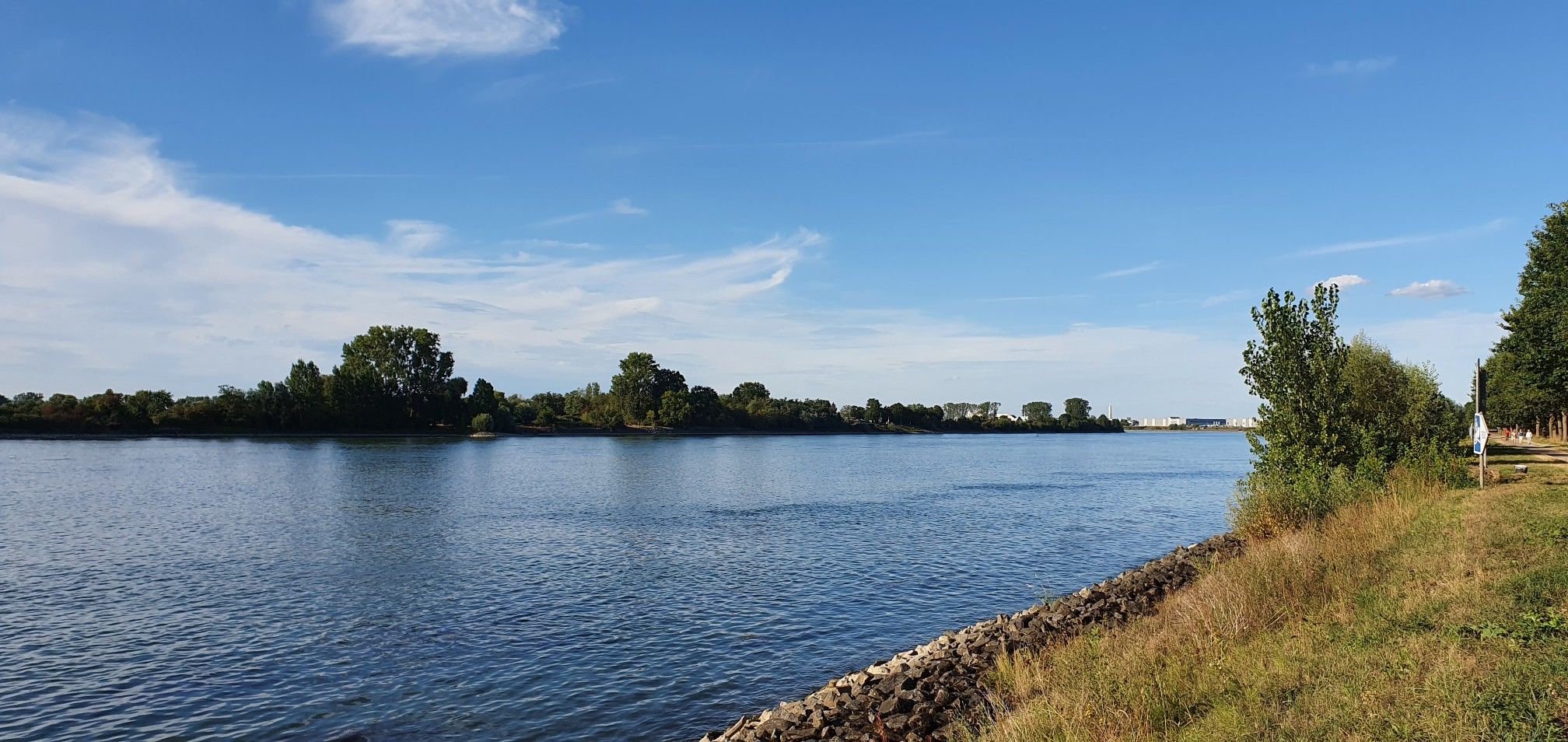 Rückweg ab Worms bis Mainz auf dem Rheinradweg