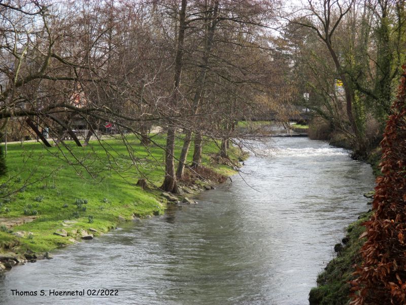 Die Hönne in Menden/Sauerland