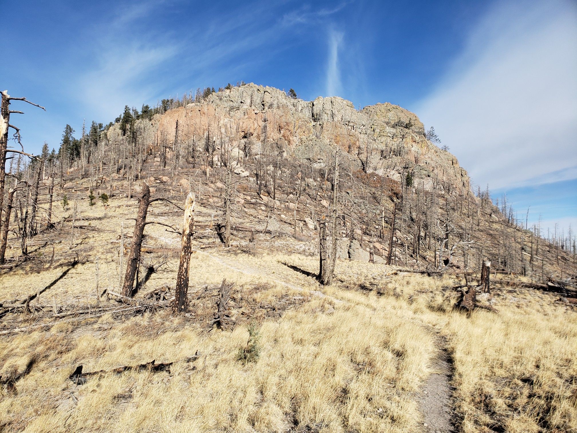 A dirt path leads towards a rocky mountain face with many dead trees. - Black Range Crest Trail to Hillsboro Peak