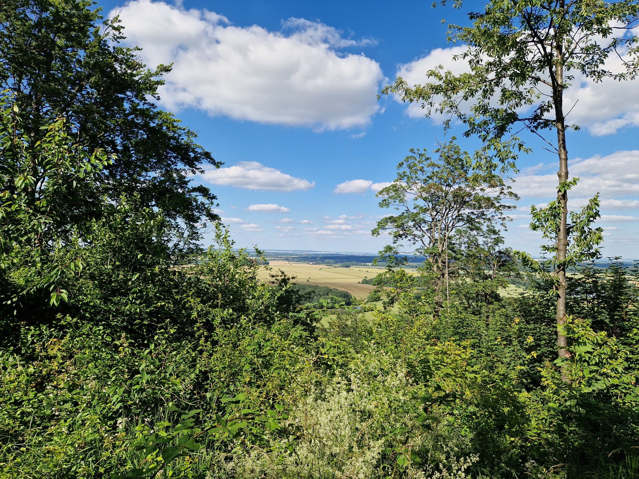 Vom Wachkopf aus hat man einen weiten Blick ins Tal.