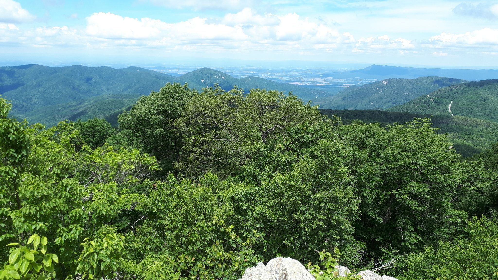 Panoramic view of lush green mountains under a bright blue sky. - Frazier Discovery Trail