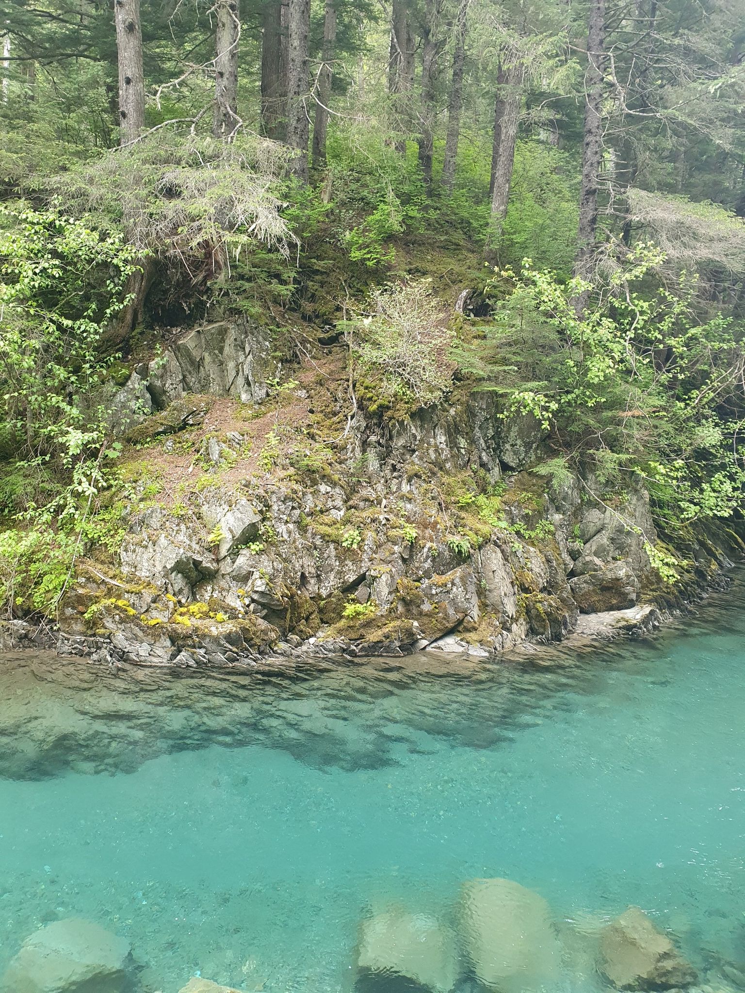 Clear turquoise water flows past a rocky, moss-covered forest bank. - Gold Creek Flume Trail