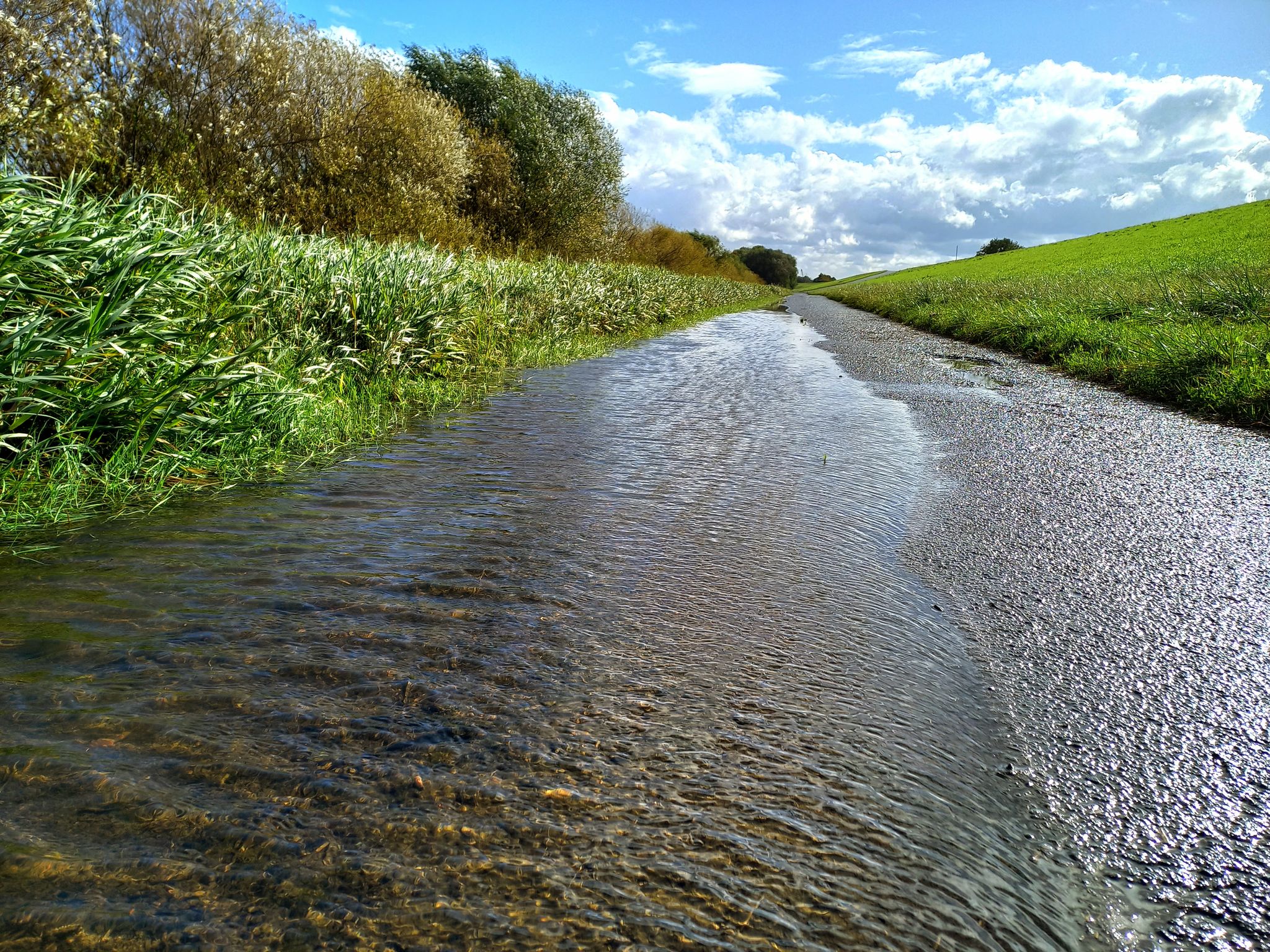 das Mühlenberger Loch