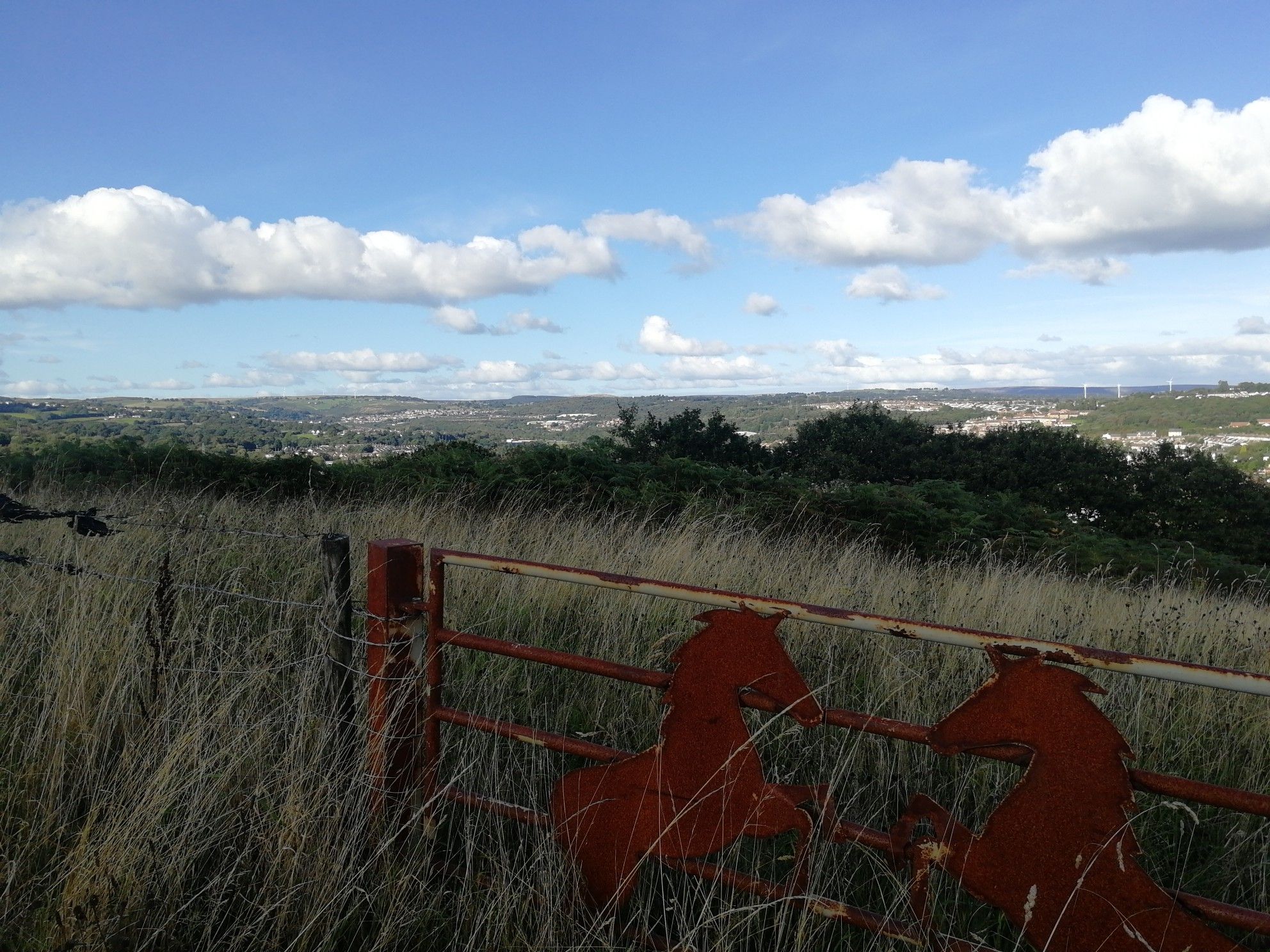 view from Cefn Hengoed