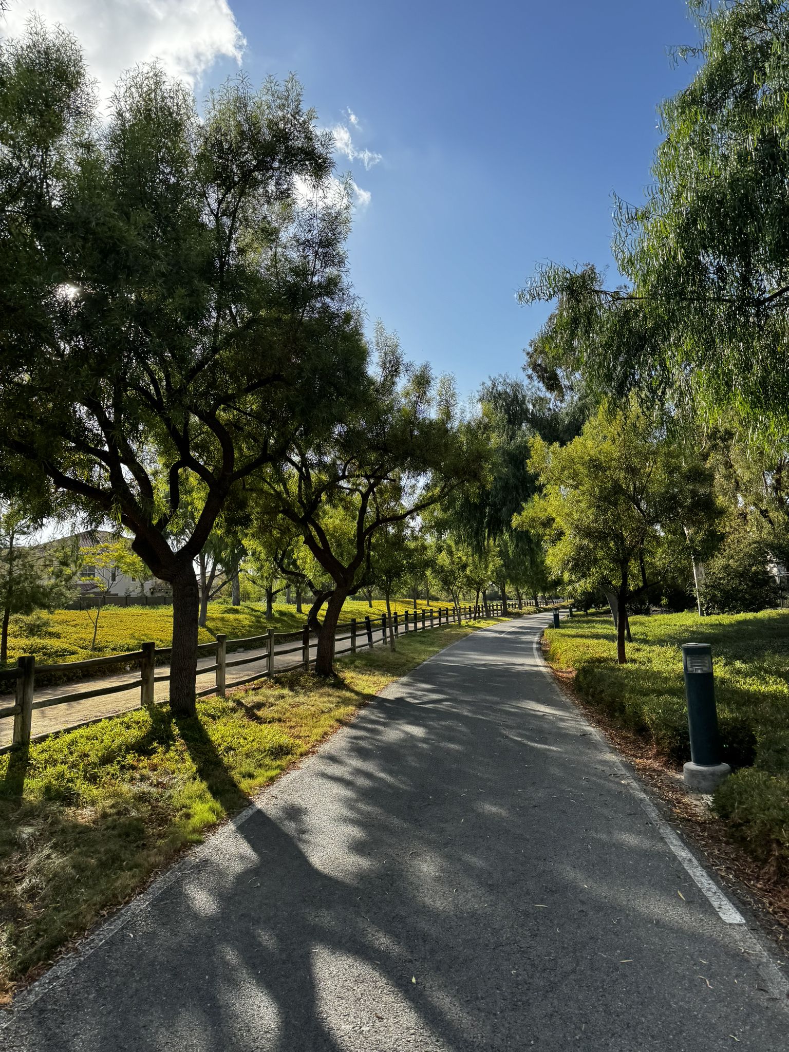 Sunny paved path through green trees, casting long shadows on the ground. - Hicks Canyon Trail