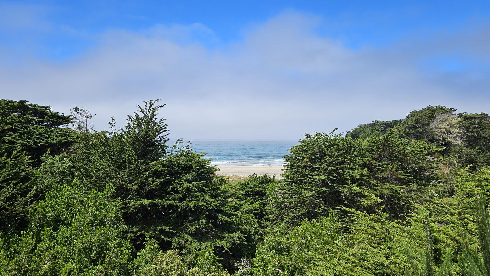 Ocean and sandy beach visible through dense green trees under clouds. - Kings Mountain Road – Skeggs Point loop from Franklin Point Trailhead