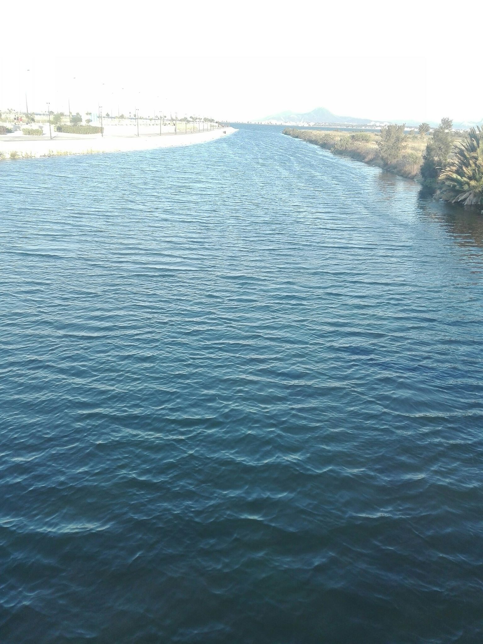 Bridge View 2