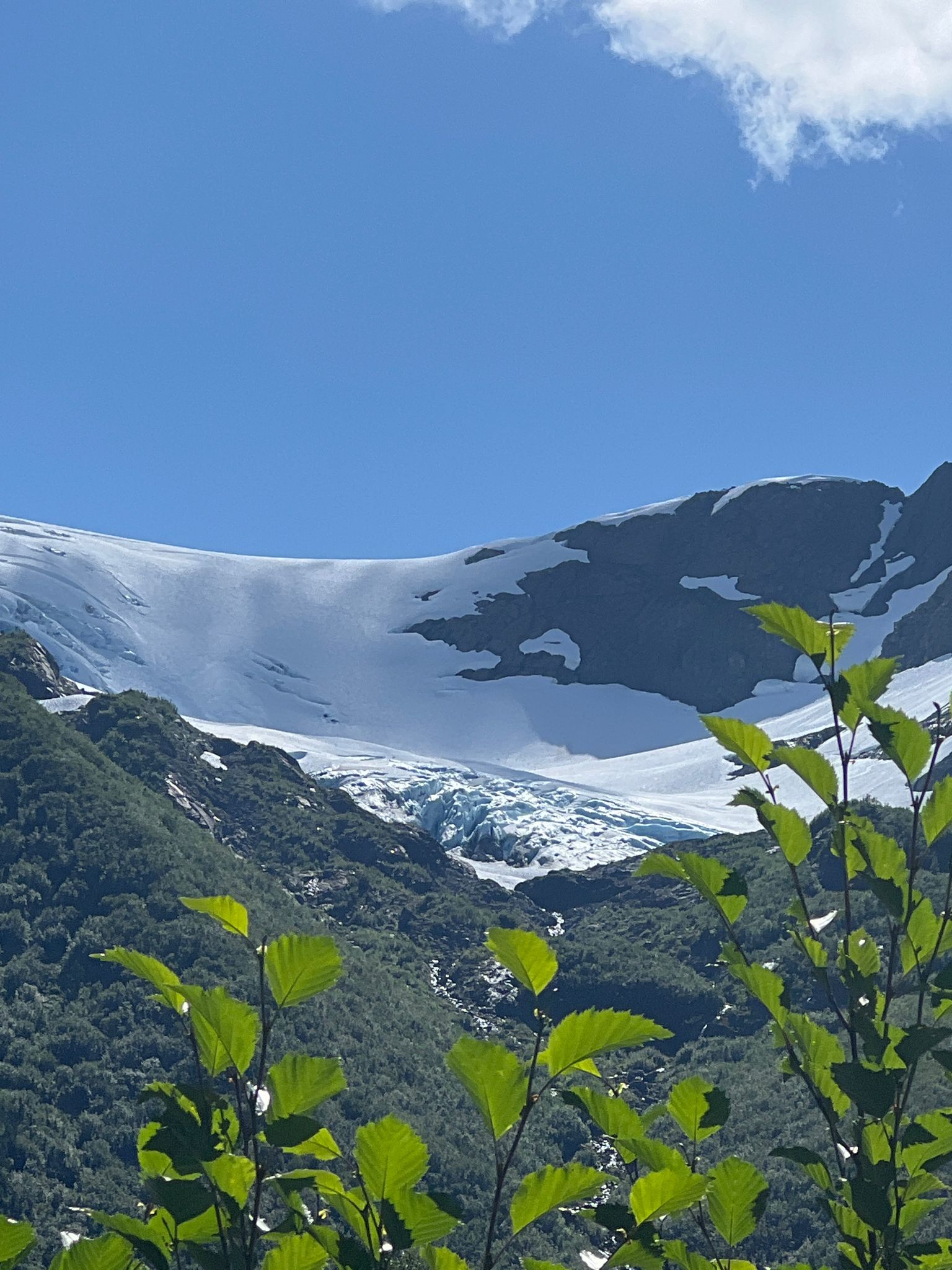 A glacier nestled in green mountains under a bright blue sky, with leaves. - Trail of Blue Ice