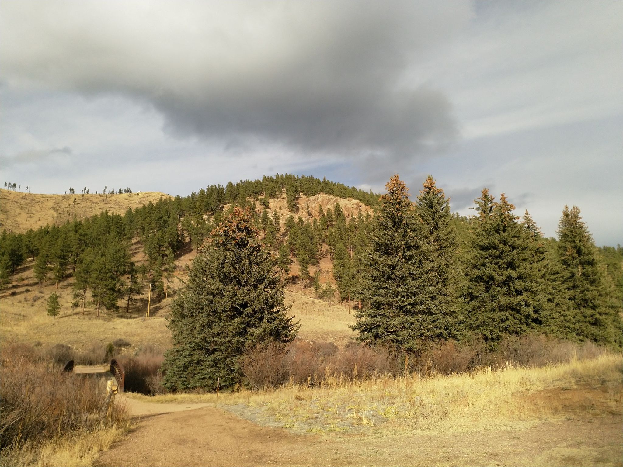 Dirt path leading towards a wooded hillside under a cloudy sky. - Buck Gulch, Strawberry Jack, and Park View Trail Loop