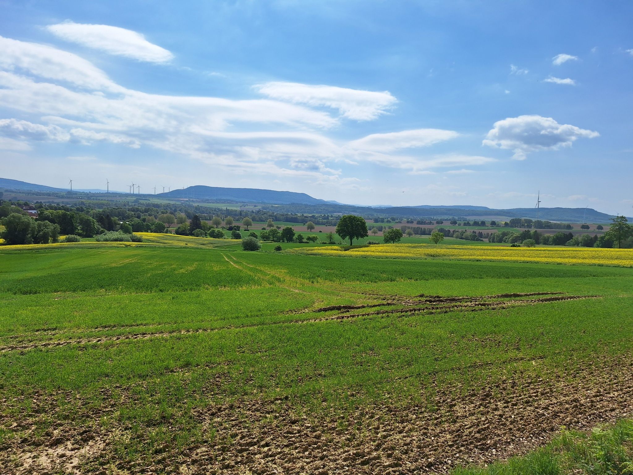 Ende Flegessen