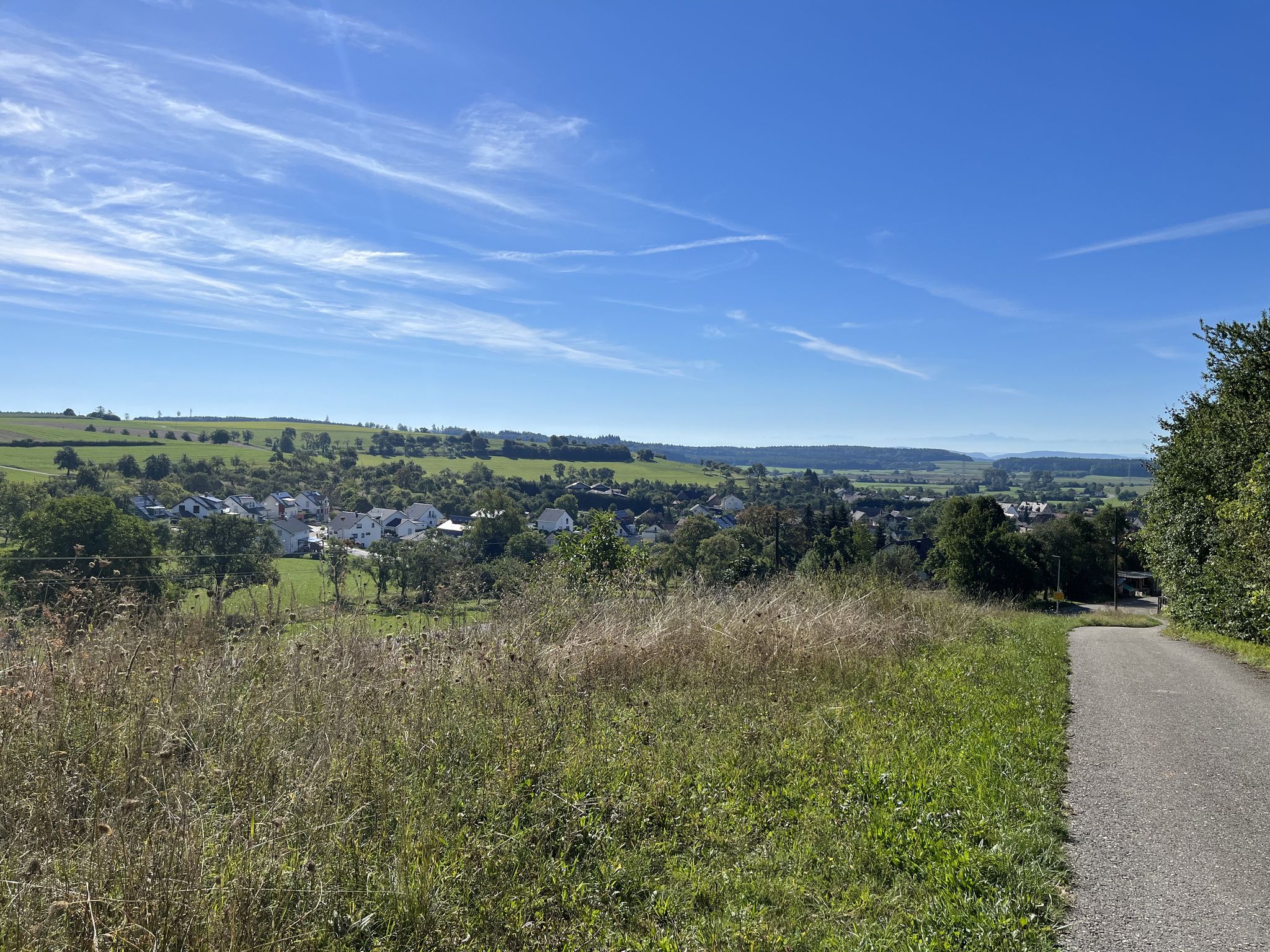 Kurz vor Heudorf - zwischen Tuttlingen und Stockach