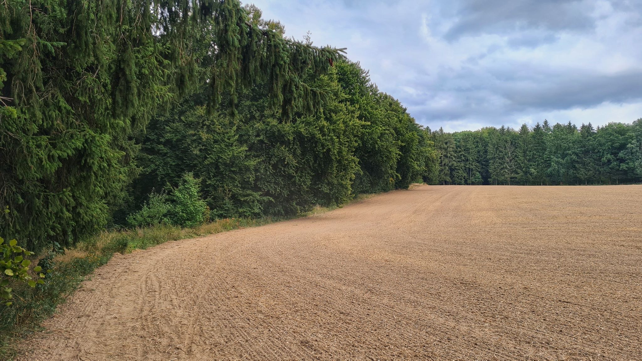 Feldweg 😉