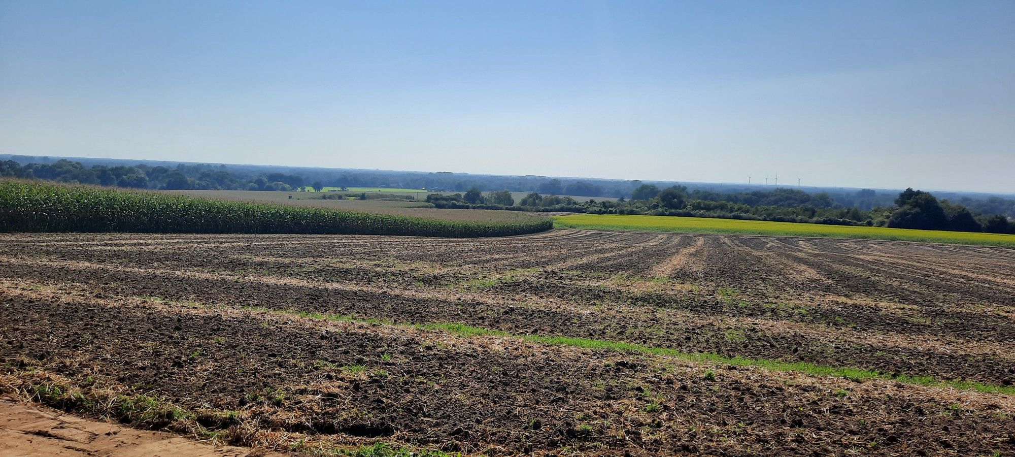 Blick ins Münsterland vom Brumleyweg Nähe Dörenthe