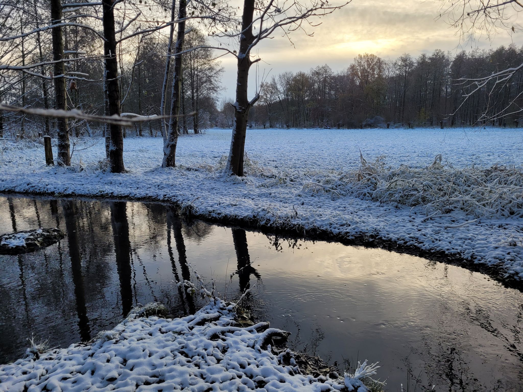Mühlenriede